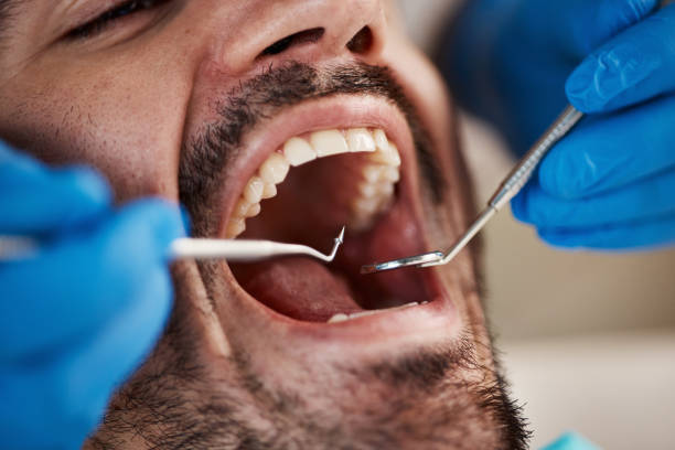 Best Cosmetic Emergency Dentistry in Park Falls, WI
