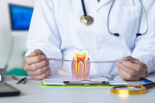 Best Emergency Treatment for Dental Infections or Abscesses in Park Falls, WI